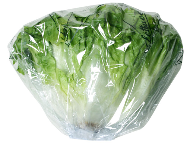 veggieb1