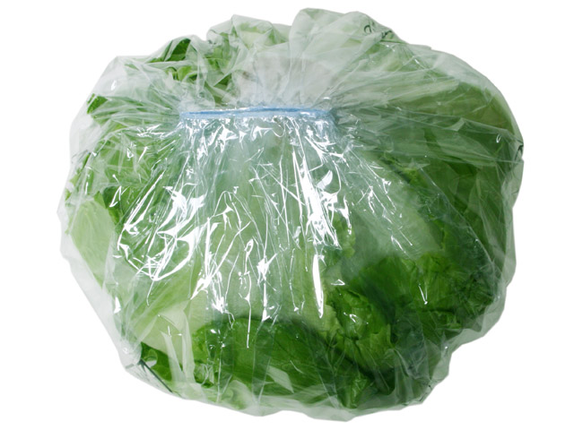 veggieb4